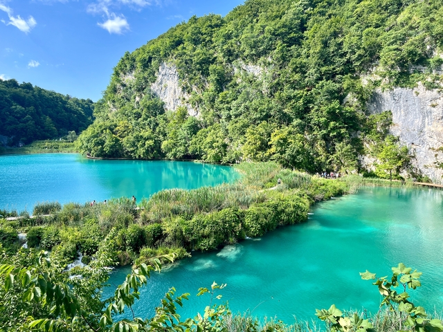       Vibrant turquoise water and lush greenery.
  
