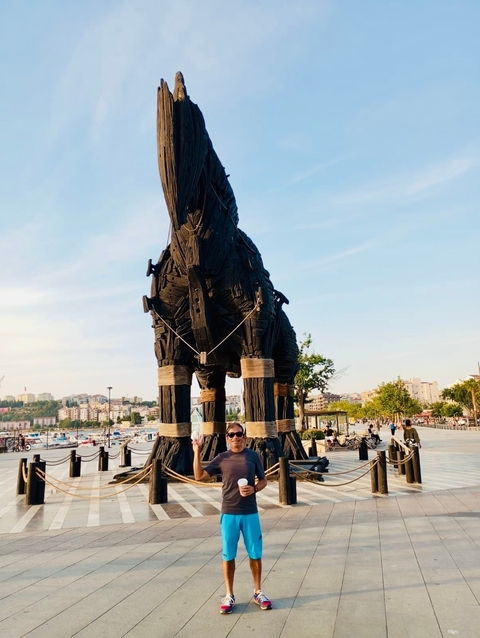       Trojan horse replica in an outdoor setting.
  