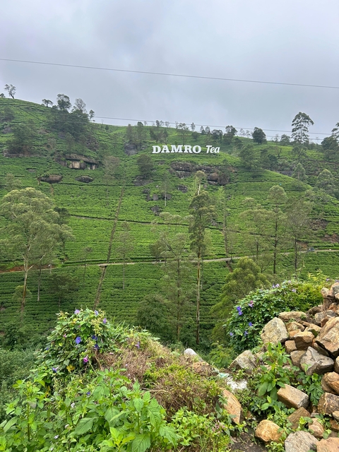 Itinerary Image 8