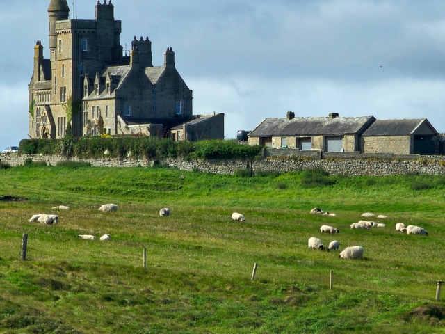       Castle with sheep grazing on a green field.
  