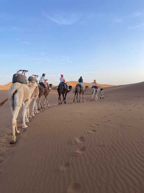 Camel caravan traveling through the desert.
