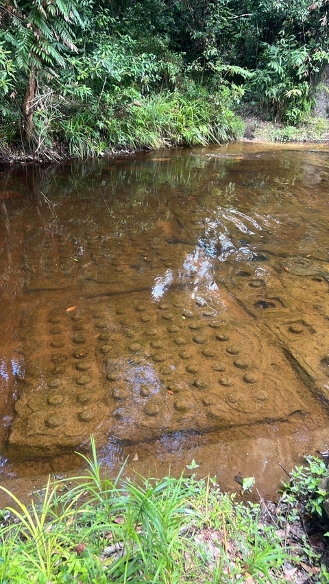 Klantbeoordelingsfoto van Angkor Wat Zonsopgang & Hele Dag Angkor Tempels Hoogtepunten Tour 