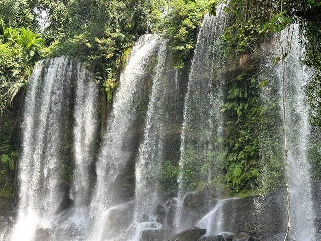 Picturesque waterfall surrounded by greenery.