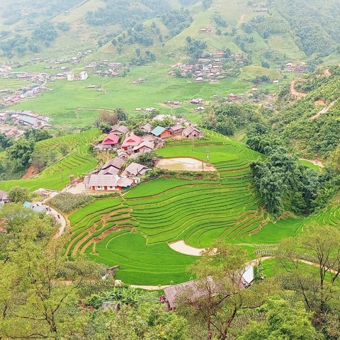       Aerial view of rice terraces with scattered houses and greenery.
  
