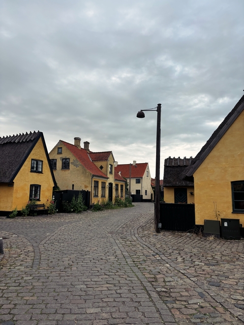       Charming street with vintage yellow houses.
  