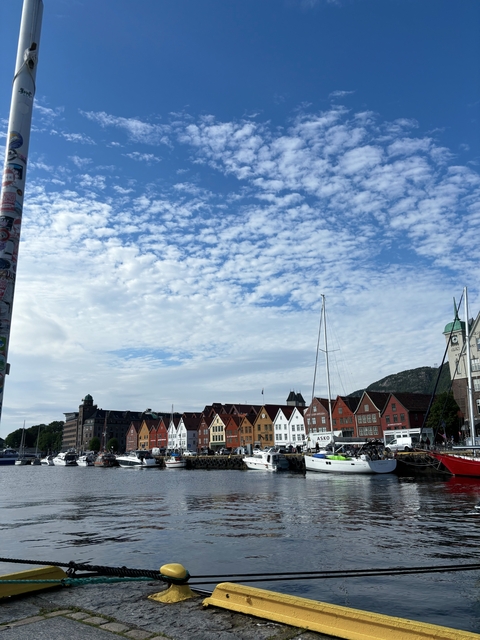       Painted wooden buildings on a harbor with mountains in the background.
  