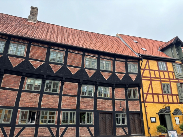       Half-timbered houses with colorful facades.
  
