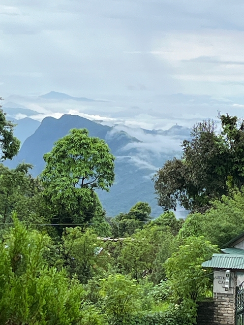       Misty mountain view with green trees in the foreground.
  