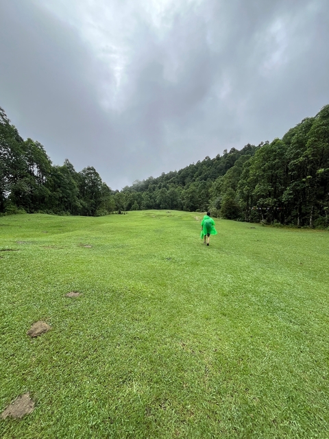       Person in green raincoat walking across grassy field.
  