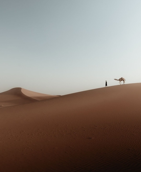      Person with a camel on the sand dunes of the desert.
  