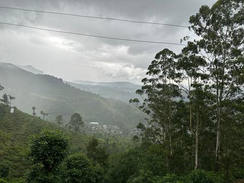      Rainy mountainous landscape with trees.
  