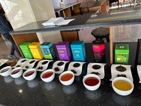       Tea tasting setup with different colored teas in bowls.
  