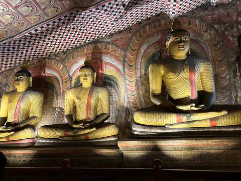      Row of intricate Buddha statues in a temple.
  