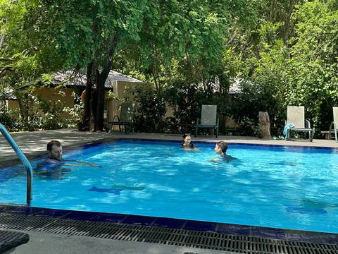      People swimming in an outdoor pool surrounded by trees.
  