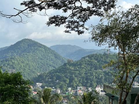       Green hills and mountains with a town in the foreground.
  