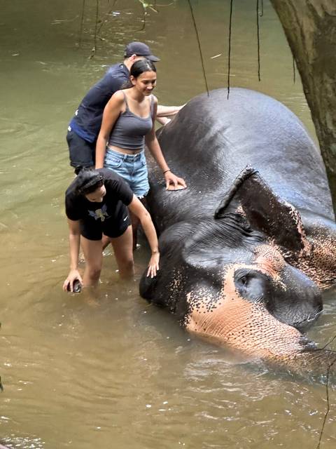 Tourists interacting with an elephant in a body of water.