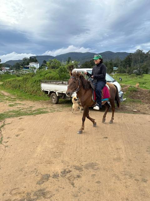       Person riding a horse along a dirt road.
  