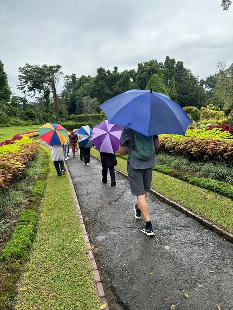       People walking with colorful umbrellas in a garden.
  