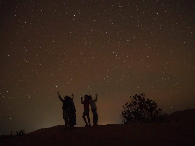 Silhouettes of people stargazing with a vast starry sky.