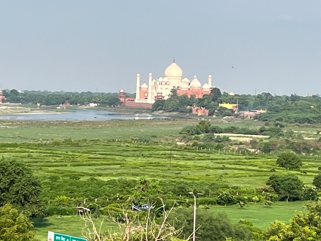 Distant view of the Taj Mahal surrounded by greenery.