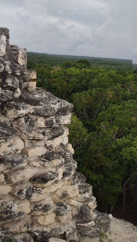       Close-up of a stone structure with lush greenery.
  