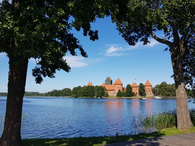       Lake view with a castle surrounded by trees and framed by two trees in the foreground.
  