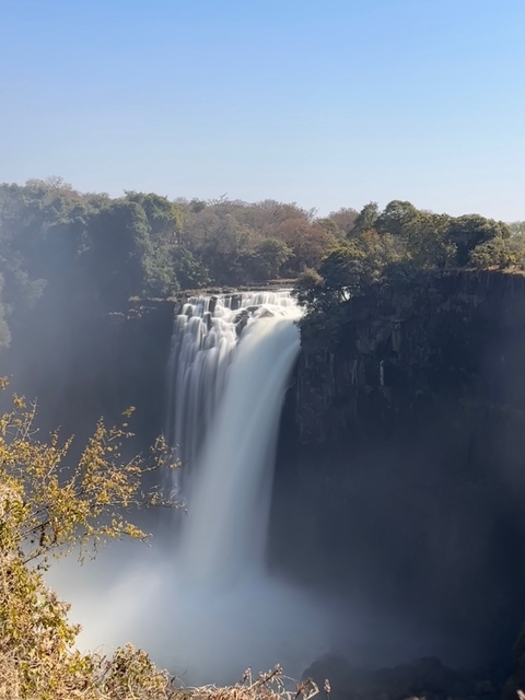A waterfall cascading down a rocky cliff surrounded by trees.