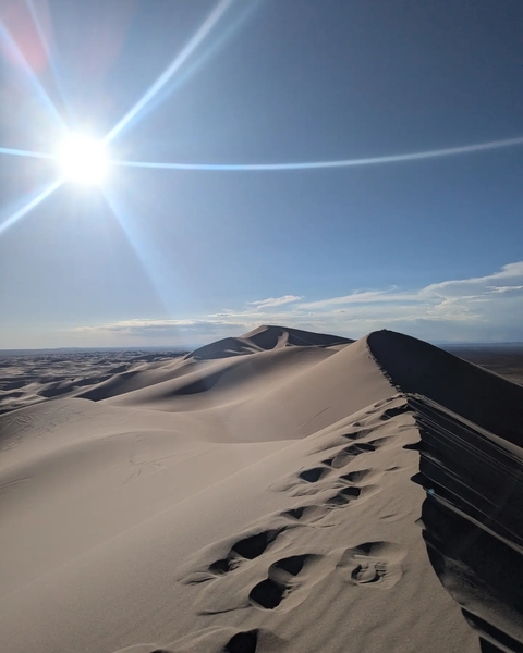 Sand dunes under a clear blue sky with bright sunlight.