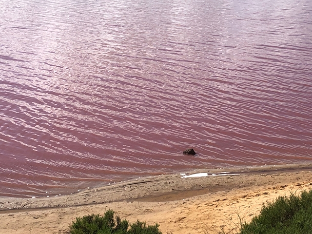 Pink lake shore with visible sand and water.