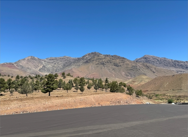       Mountainous terrain with scattered trees and clear sky.
  