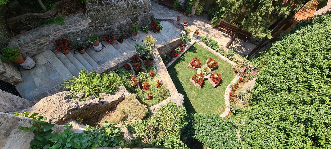       Garden with stone steps and flowers
  