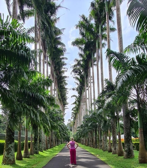 foto de reseña de cliente de Viaje a Sri Lanka 20 días /19 noches 