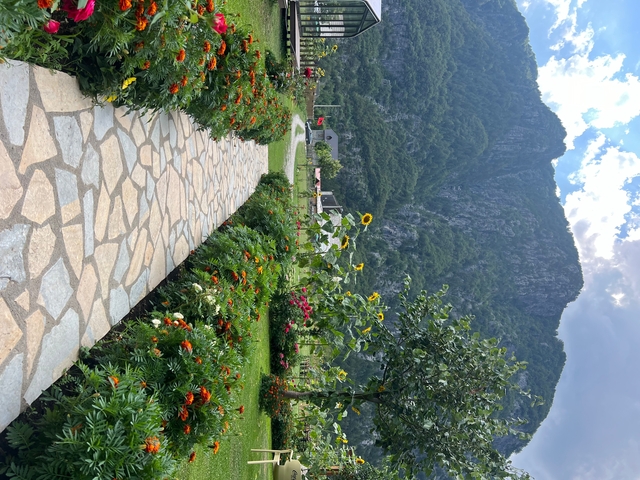 Colorful garden path with mountain backdrop.