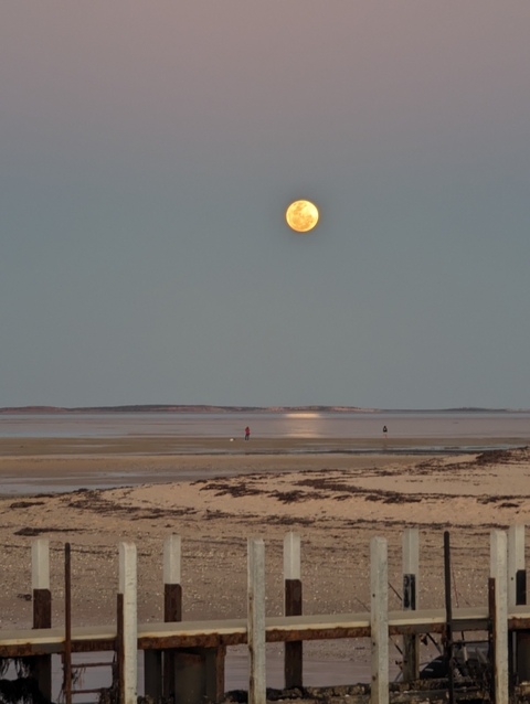       Full moon over a beach during twilight.
  