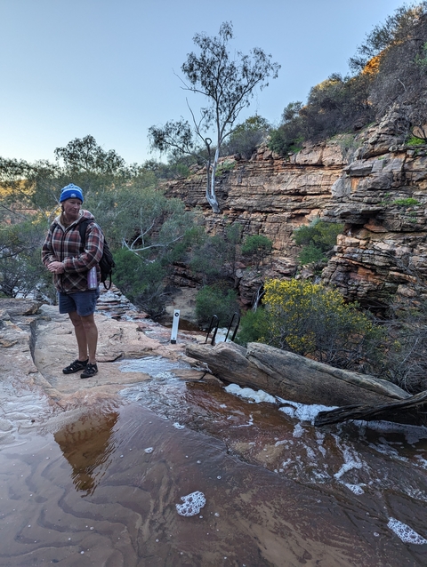       Person standing on a rocky ledge in a natural park with trees and rock formations.
  