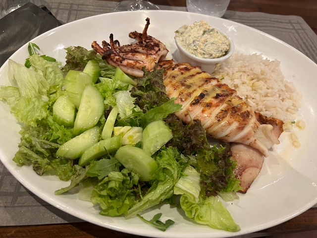 A plate of grilled calamari and salad.