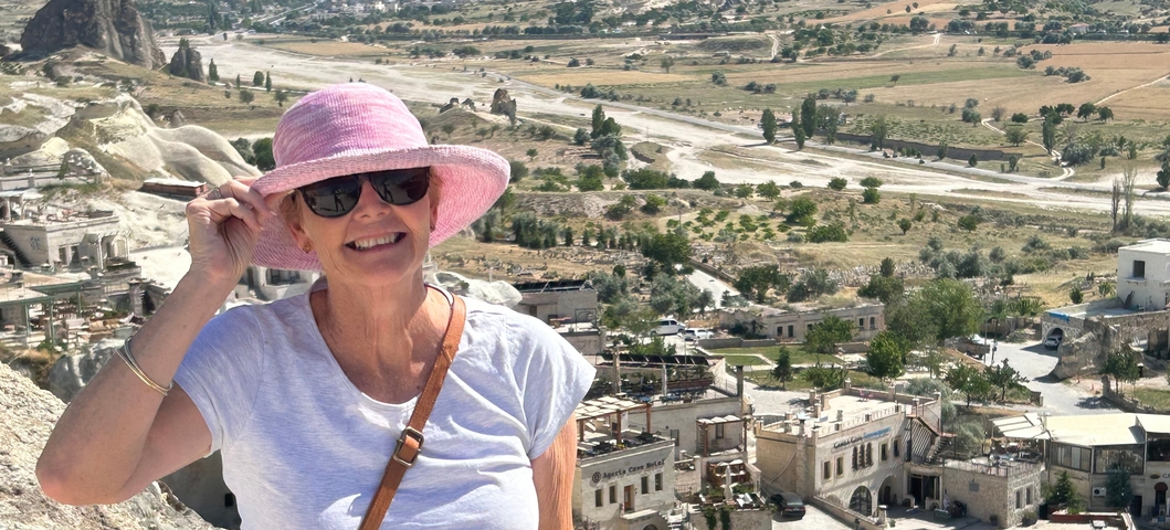       Person with a pink hat overlooking a scenic valley with rock formations.
  