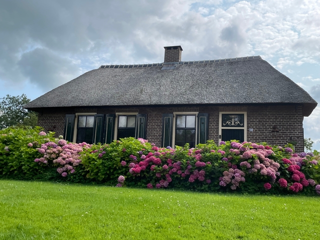       House with colorful flowers in the foreground.
  
