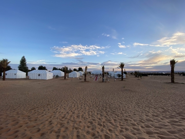 A desert camp with white tents and palm trees.