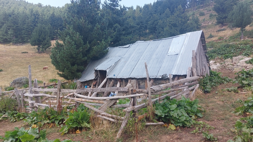 Rustic wooden structure in a rural area.