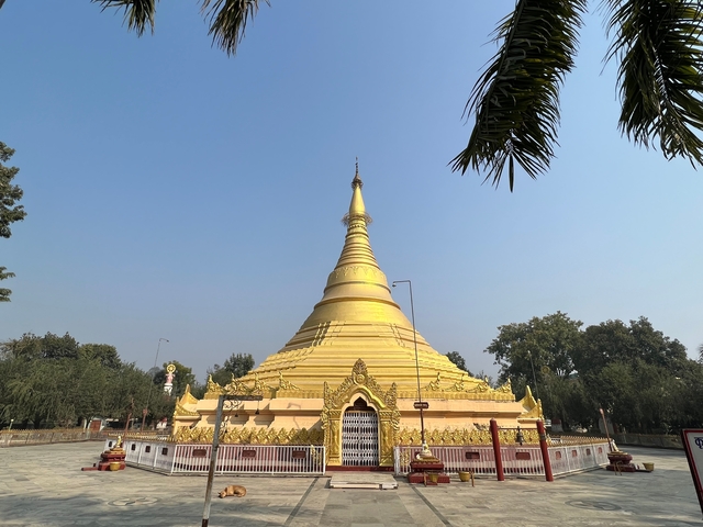       Golden pagoda with trees in the background.
  