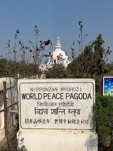       World Peace Pagoda with surrounding greenery.
  