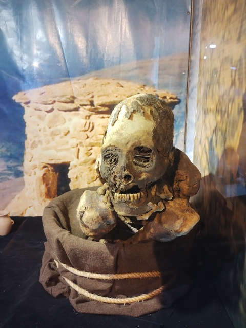 Preserved mummy with a stone background.