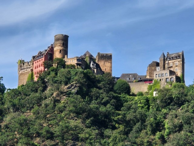 Large historic castle on the hillside surrounded by greenery.