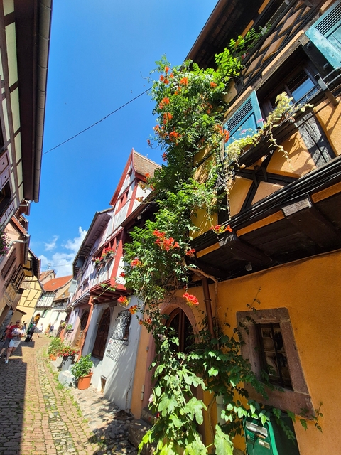 Colorful half-timbered houses with flowers on the façade.