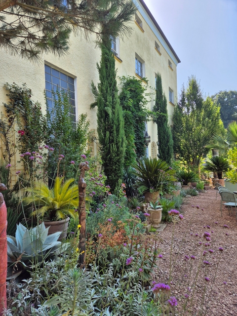 Lush garden with various plants and flowers.