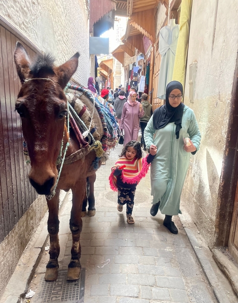       Street scene with a donkey and a woman holding a child's hand.
  