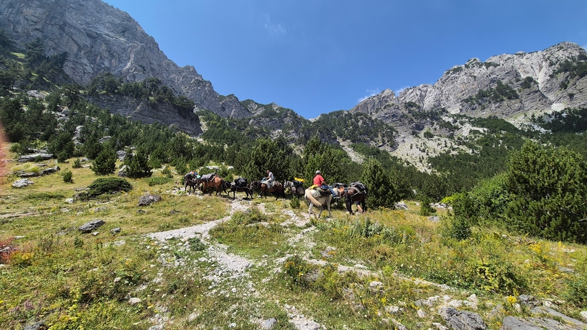 Hikers and pack animals on a mountain trail.