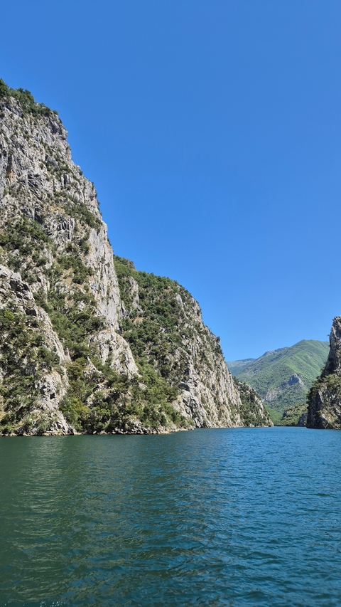 Rocky cliff with green forest below.