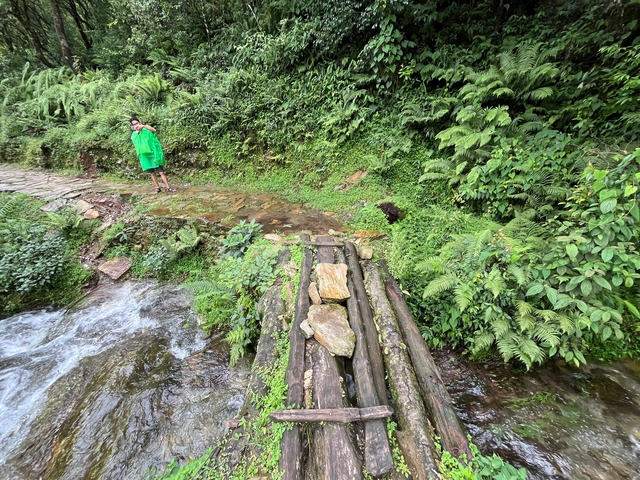       Path through a lush forest with a person in green clothing.
  